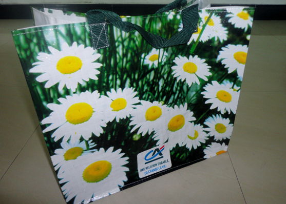 PP woven bag JB12116