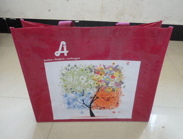 PP woven bag JB12125