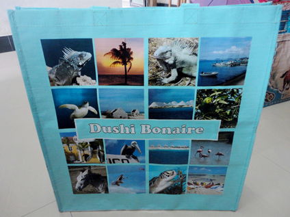 PP woven bag JB12120