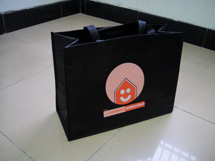 Non woven bag JB12205