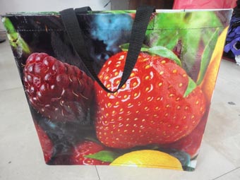 PP Woven bag JB12208