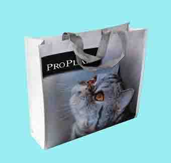 Laminated Non Woven bag JB12209