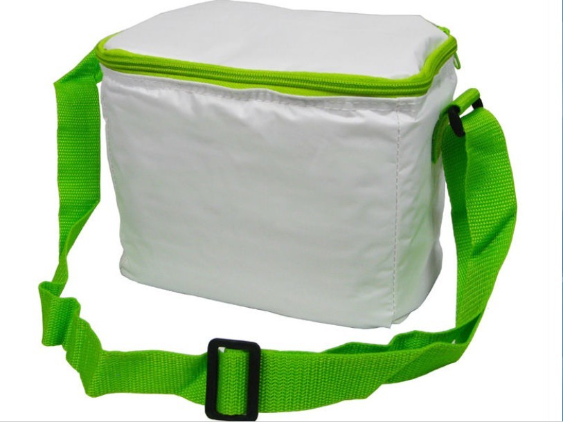 Cooler bag JB30019